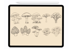 Mushrooms  Procreate Brushes - Procreate Stamps