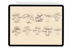 Mushrooms  Procreate Brushes - Procreate Stamps