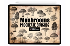 Mushrooms Procreate Stamps - Procreate Brushes