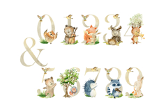Watercolor forest animals clipart. Product Image 8