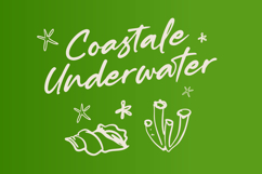 Muslyne Lettavella Aesthetic Handwritten Font Product Image 2