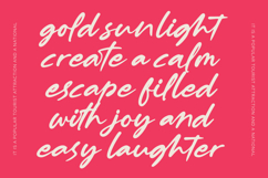 Muslyne Lettavella Aesthetic Handwritten Font Product Image 10