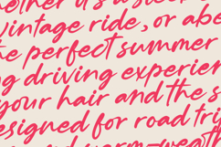 Muslyne Lettavella Aesthetic Handwritten Font Product Image 15