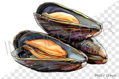 Two stacked black mussels PNG clam clipart marine cartoon Product Image 1