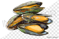 Half open fresh mussel PNG clam clipart marine cartoon Product Image 1