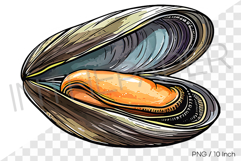 Oblong shucked raw mussel PNG clam clipart marine cartoon Product Image 1