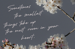 Mustineos Kedisyom Chic Feminine Script Font Product Image 3