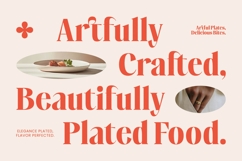 Musty Relax - Modern Display Serif Font Product Image 8