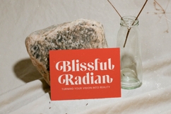 Musty Relax - Modern Display Serif Font Product Image 12