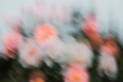 Muted Memories: Abstract Backgrounds Product Image 3