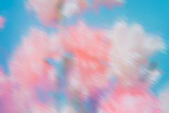 Muted Memories: Abstract Backgrounds Product Image 4