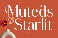 Muteds Starlit - Modern Sans Serif Font Product Image 1