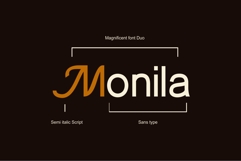 Monila Verila Elegant Display Font Product Image 10