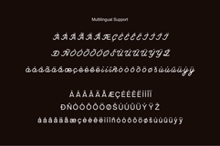 Monila Verila Elegant Display Font Product Image 11