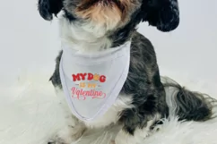 My Dog Is My Valentine SVG, Valentine's Day SVG Design Product Image 2