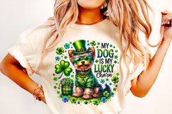 St Patrick&#039;s Day Dog PNG, My Dog Is My Lucky Charm PNG, Dog Product Image 1