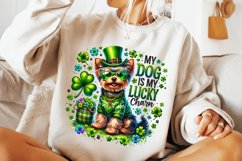 St Patrick&#039;s Day Dog PNG, My Dog Is My Lucky Charm PNG, Dog Product Image 2