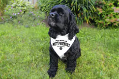 Minimal black text graphic with a funny dog-related message and paw print detail. Smooth, clean lines make it suitable for Cricut, Silhouette, and sublimation designs.