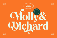 Myngo Bakery - Modern Bold Serif Font Product Image 4