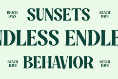 Myngo Bakery - Modern Bold Serif Font Product Image 8