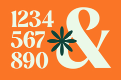 Myngo Bakery - Modern Bold Serif Font Product Image 13