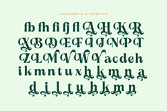 Myngo Bakery - Modern Bold Serif Font Product Image 17