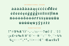 Myngo Bakery - Modern Bold Serif Font Product Image 18