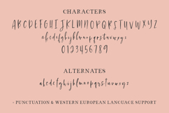 Mystic Heirloom Script Font Product Image 10