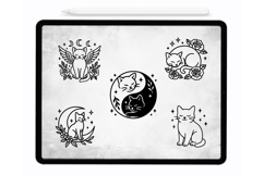 Mystical Cats Procreate Brushes Procreate Stamps
