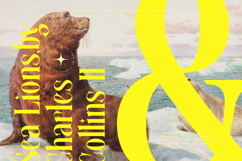 Mythical Romance - Modern Display Serif Product Image 6