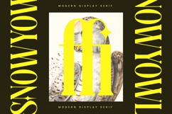 Mythical Romance - Modern Display Serif Product Image 13