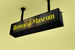 Mythical Romance - Modern Display Serif Product Image 16