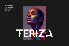 Nemuz Editoral Bold Logo Font Product Image 2