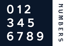 Nemuz Editoral Bold Logo Font Product Image 3