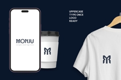 Nemuz Editoral Bold Logo Font Product Image 4