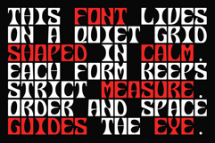 Nabsor - Monowidth Font Product Image 8