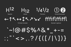 Nalte Sans Clean &amp; Minimal Bold Sans Family Product Image 10