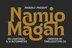 Namio Magah - Modern Display Serif Product Image 1