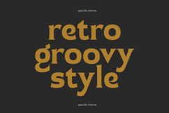 Namio Magah - Modern Display Serif Product Image 3