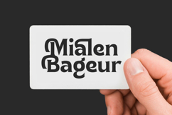 Namio Magah - Modern Display Serif Product Image 15