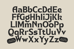 Namio Magah - Modern Display Serif Product Image 16