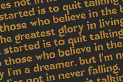 Namio Magah - Modern Display Serif Product Image 17