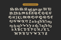 Namio Magah - Modern Display Serif Product Image 18