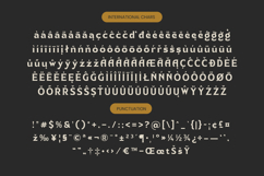 Namio Magah - Modern Display Serif Product Image 19