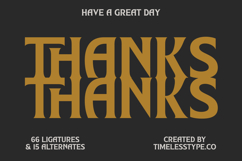 Namio Magah - Modern Display Serif Product Image 20