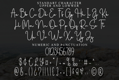 Nanoparticles Product Image 7