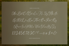 Narottewla | Beauty Callighraphy Script Product Image 10