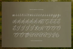 Narottewla | Beauty Callighraphy Script Product Image 11