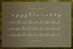 Narottewla | Beauty Callighraphy Script Product Image 12