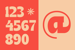 Naska Rumbe - Bold Display Font Product Image 15